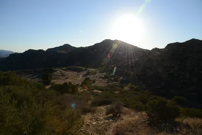 DSC_5550 (Large).JPG